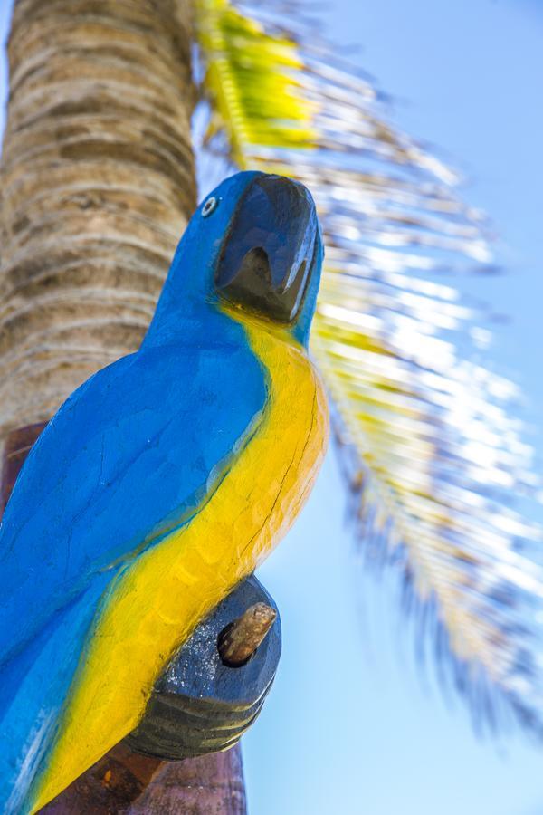 Pousada Cores Dos Corais Маракажау Екстер'єр фото